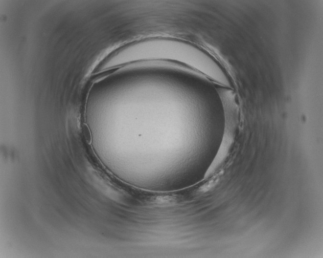 X0000080160060200612221236