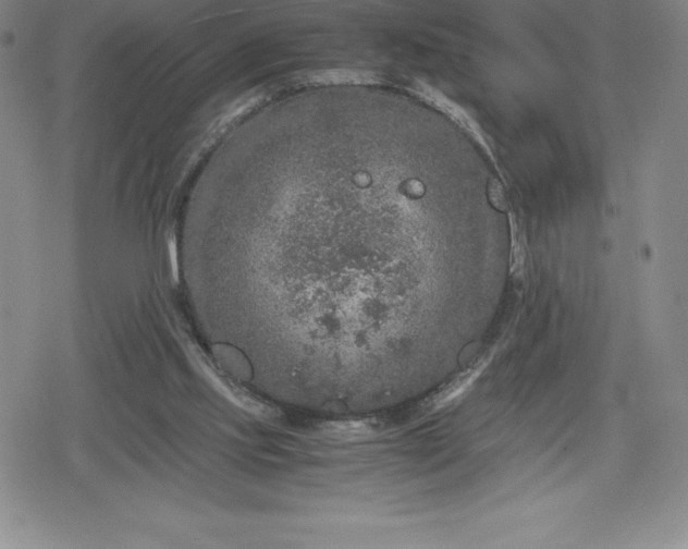 X0000080160061200612221236