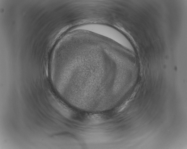 X0000080160062200612221236