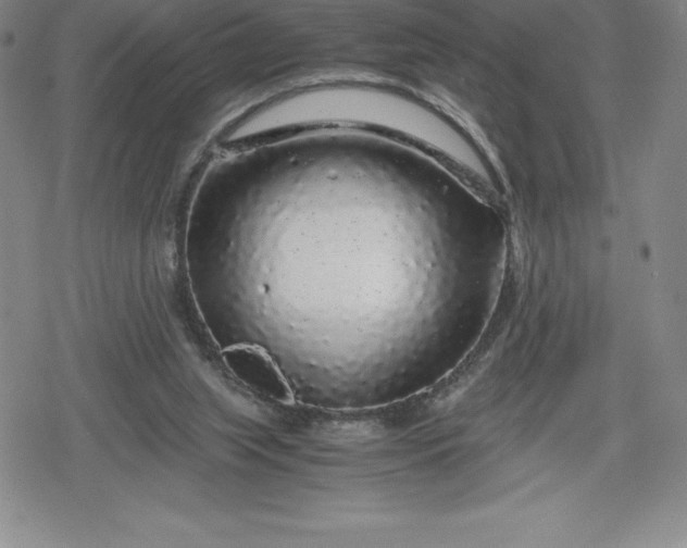 X0000080160063200612221236