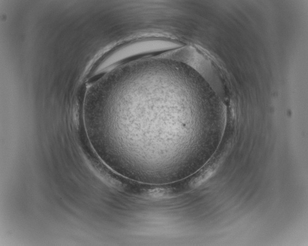 X0000080160064200612221236