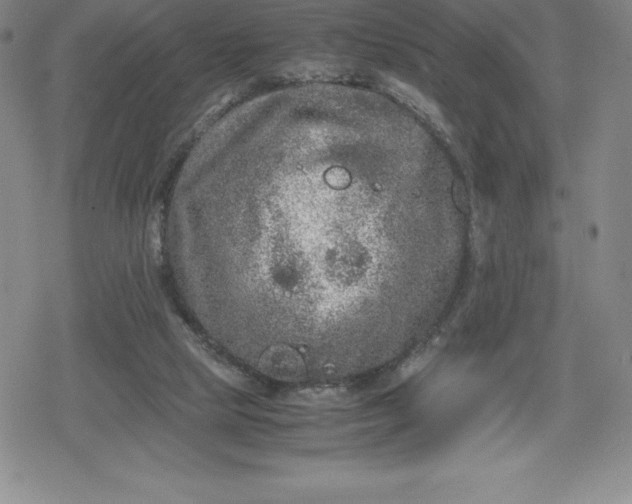 X0000080160065200612221236