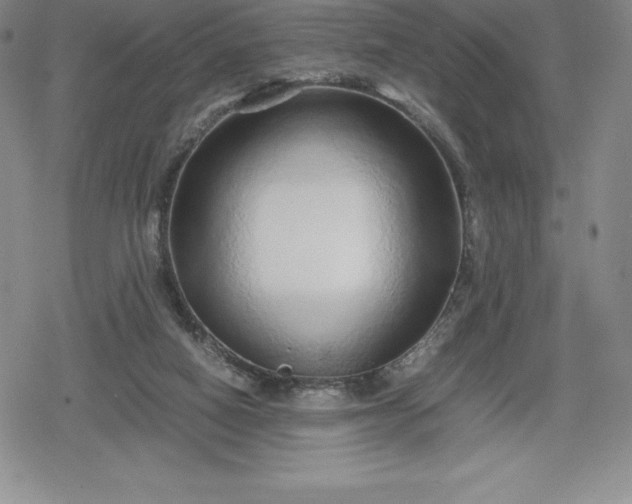 X0000080160066200612221236