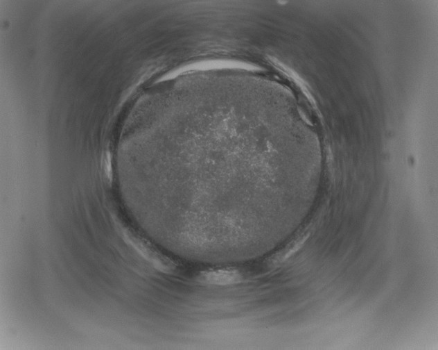 X0000080160067200612221236