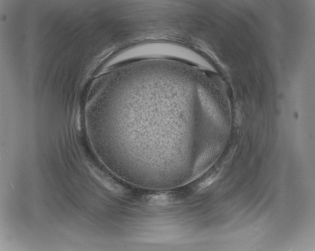 X0000080160068200612221236