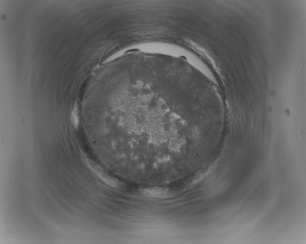 X0000080160069200612221236