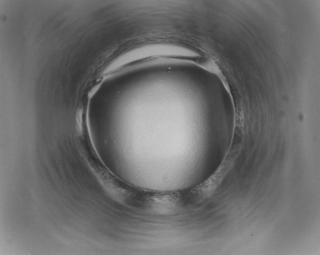 X0000080160070200612221236