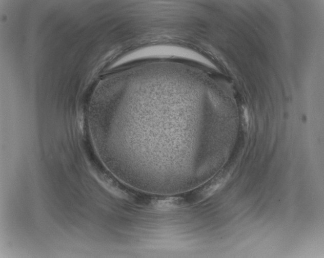 X0000080160072200612221236