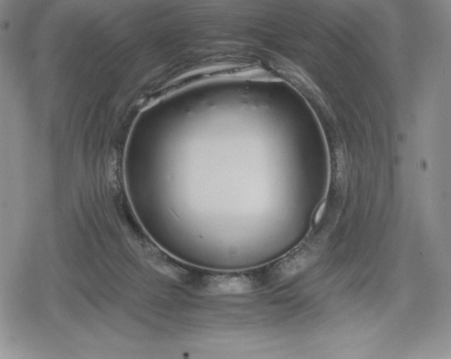 X0000080160073200612221236