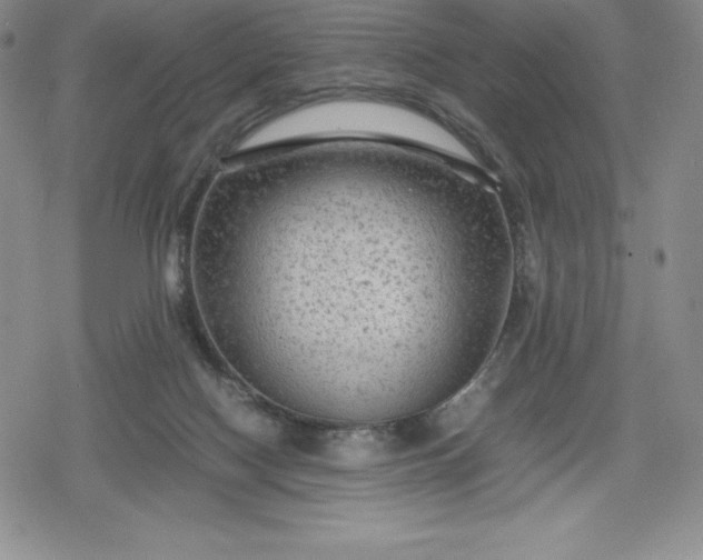 X0000080160074200612221236