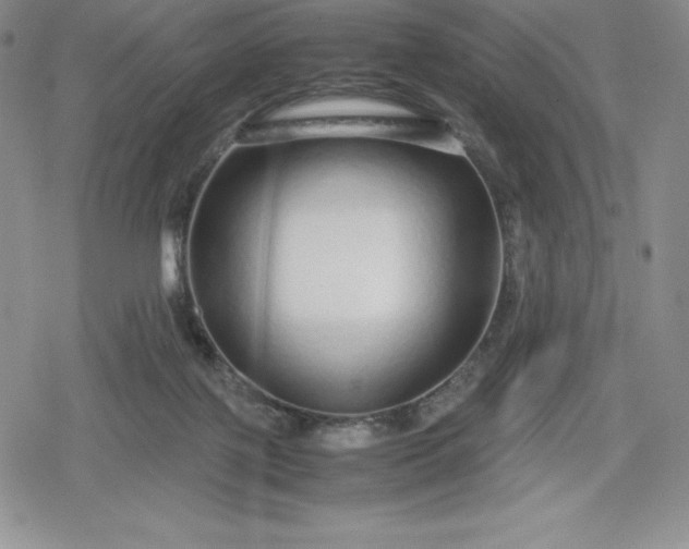 X0000080160075200612221236