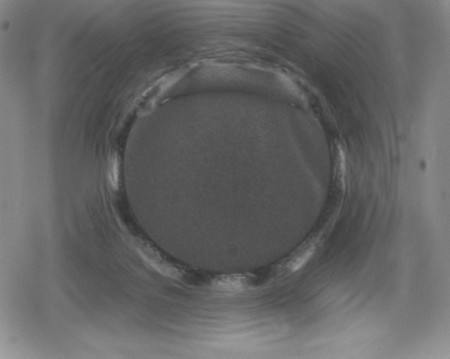 X0000080160076200612221236