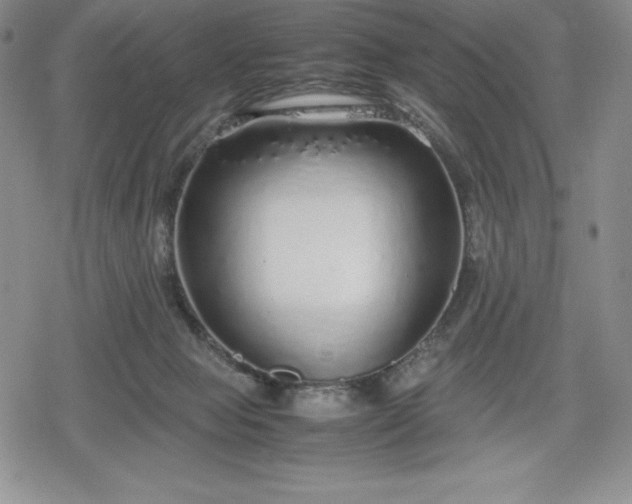 X0000080160077200612221236