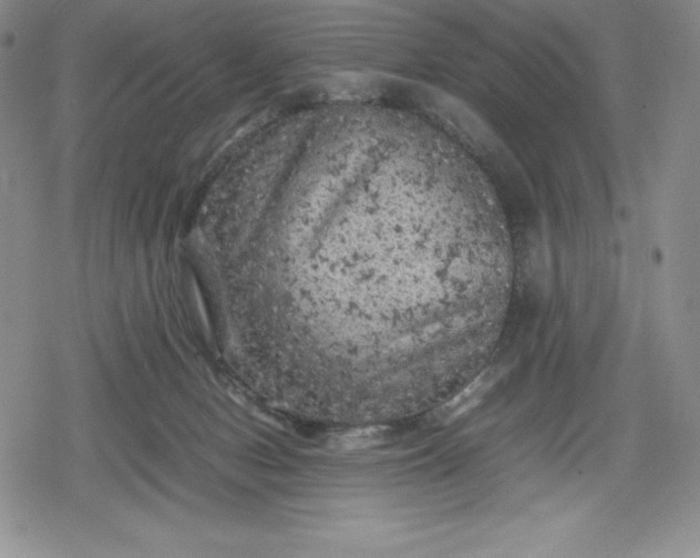 X0000080160078200612221236