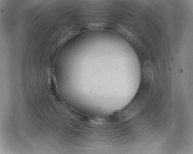 X0000080160079200612221236