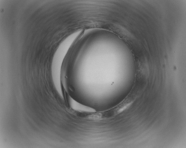 X0000080160080200612221236