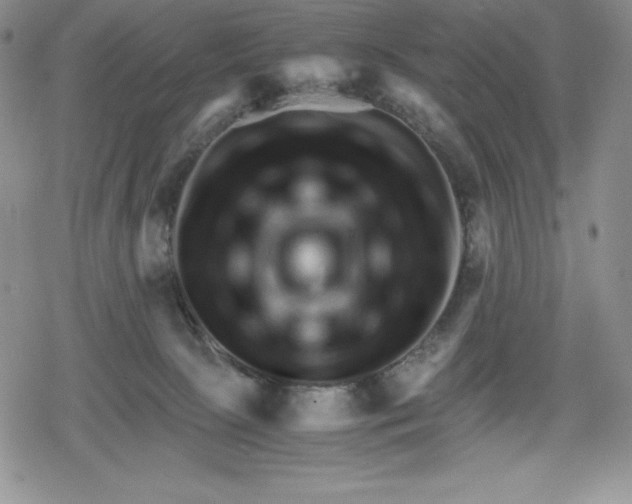 X0000080160081200612221236