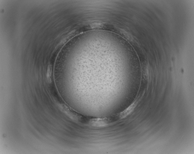 X0000080160082200612221236