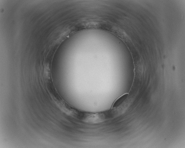 X0000080160083200612221236