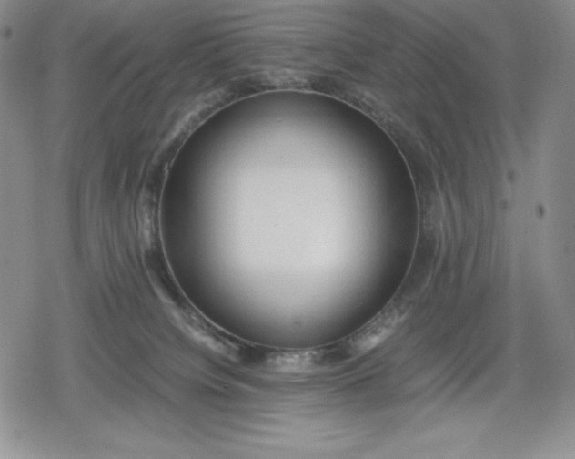 X0000080160084200612221236