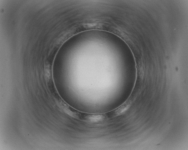 X0000080160085200612221236