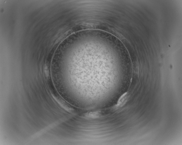 X0000080160086200612221236