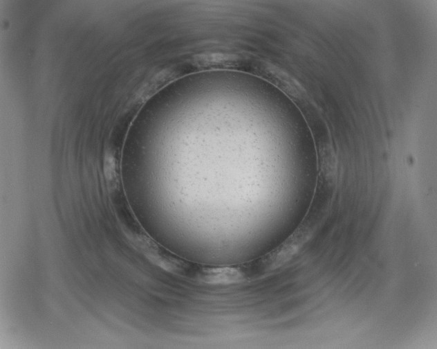 X0000080160087200612221236