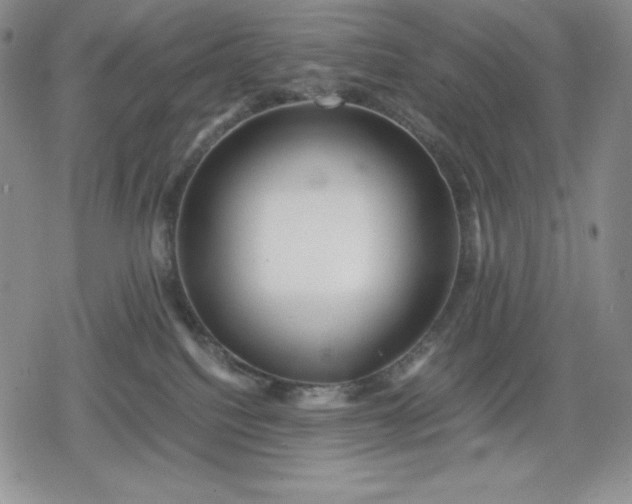 X0000080160088200612221236