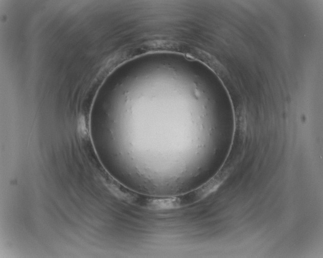 X0000080160089200612221236