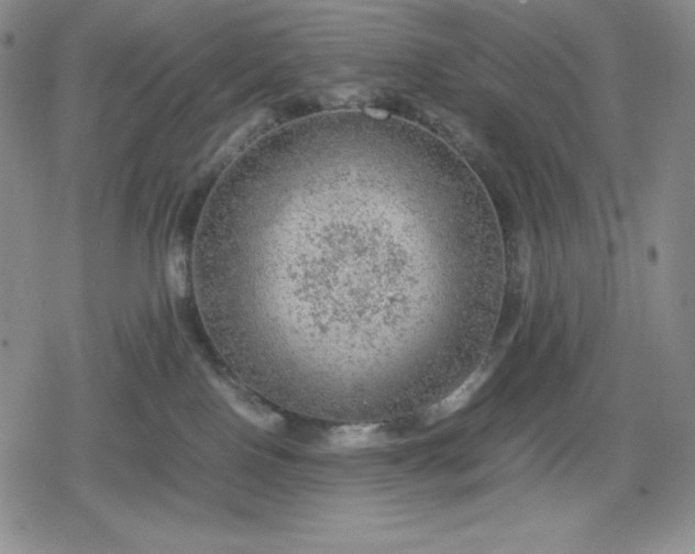 X0000080160090200612221236