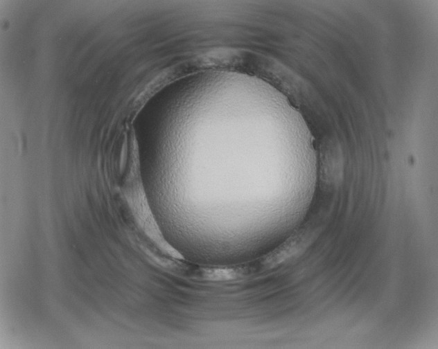 X0000080160091200612221237