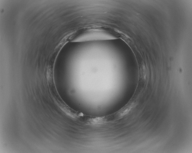 X0000080160092200612221237