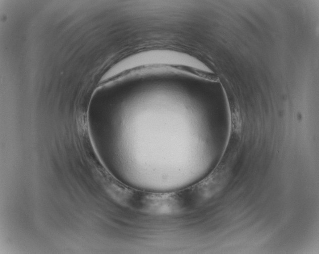 X0000080160093200612221237