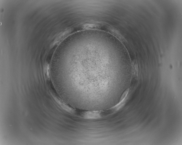 X0000080160094200612221237