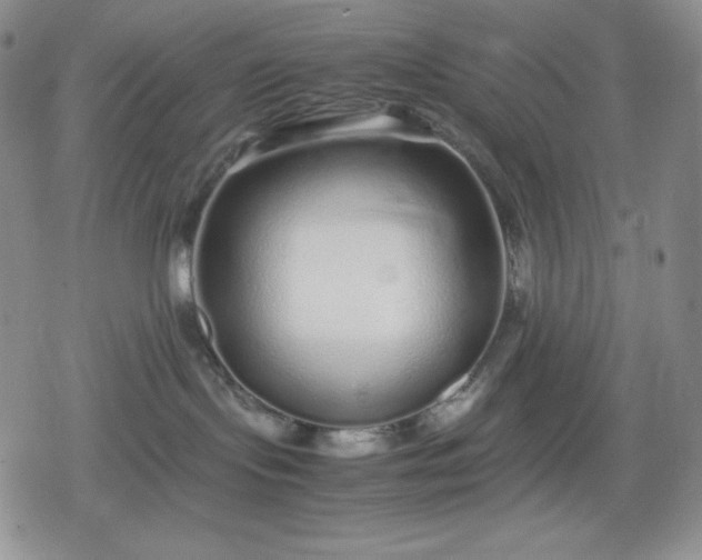 X0000080160095200612221237