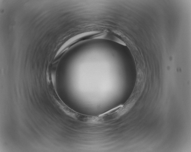 X0000080160096200612221237