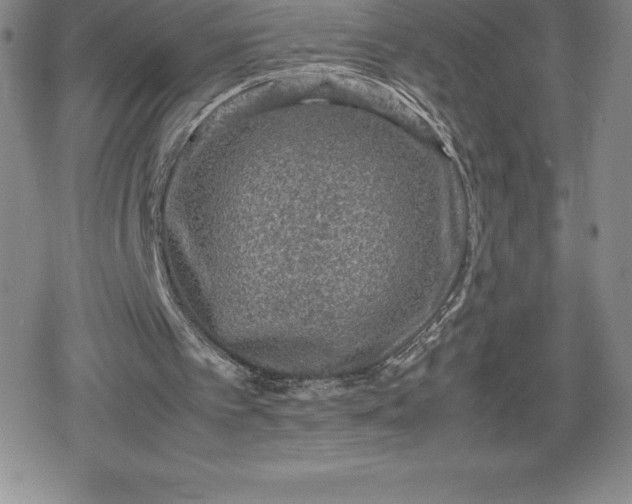 X0000080160097200612221236