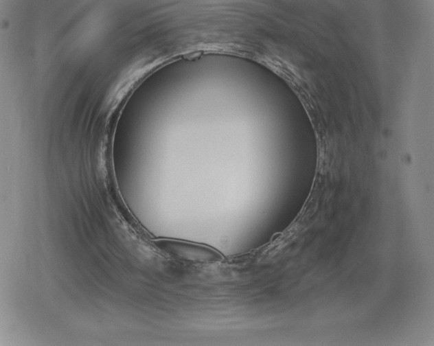 X0000080160098200612221236