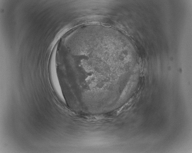 X0000080160099200612221236