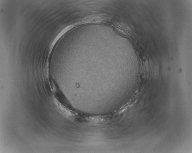 X0000080160100200612221236