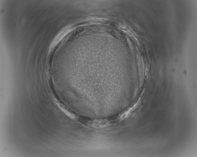 X0000080160101200612221236