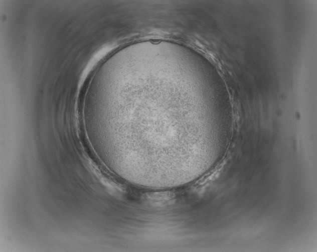 X0000080160102200612221236