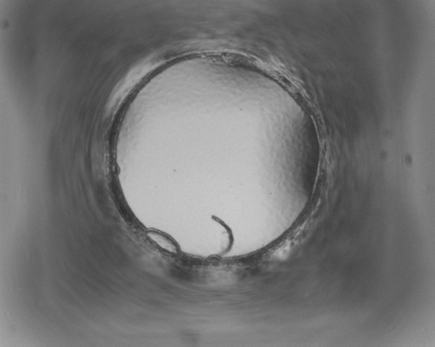 X0000080160103200612221236