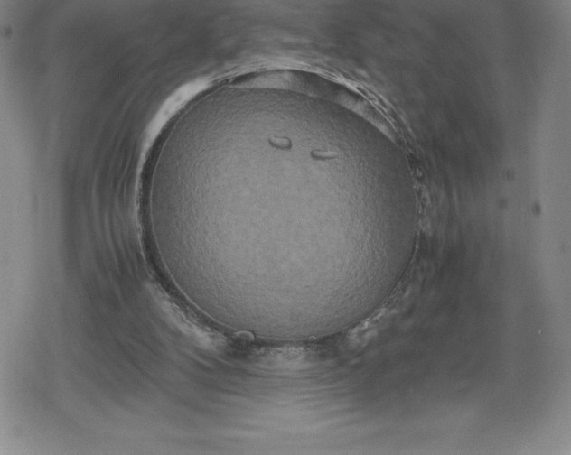 X0000080160104200612221236