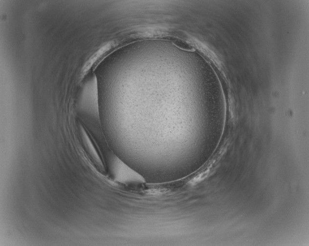 X0000080160105200612221236