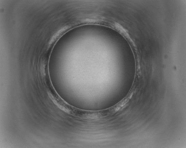 X0000080160106200612221236