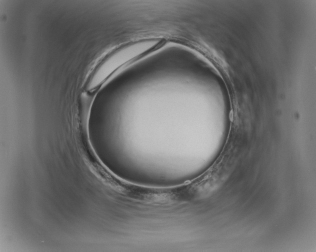 X0000080160107200612221236