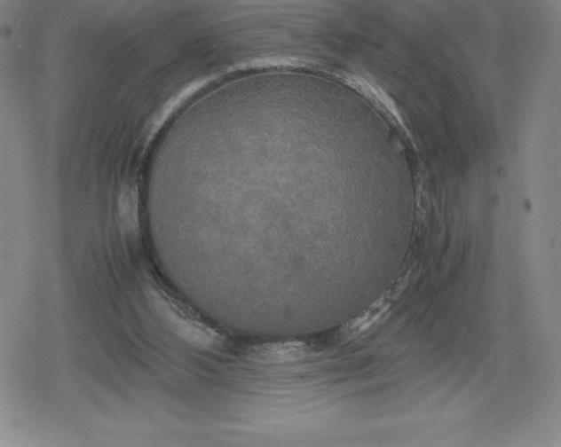 X0000080160108200612221236