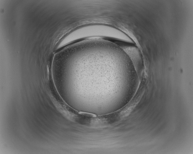 X0000080160109200612221236