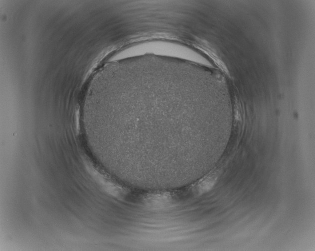 X0000080160110200612221236